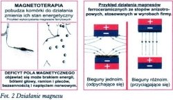 Opaska magnetyczna na kolano - 3 rzepy